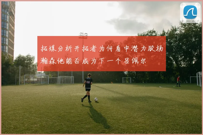 拓媒分析开拓者为何看中潜力股杨瀚森他能否成为下一个吕佩尔