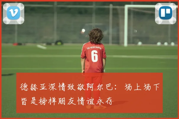 德赫亚深情致敬阿尔巴：场上场下皆是榜样朋友情谊永存