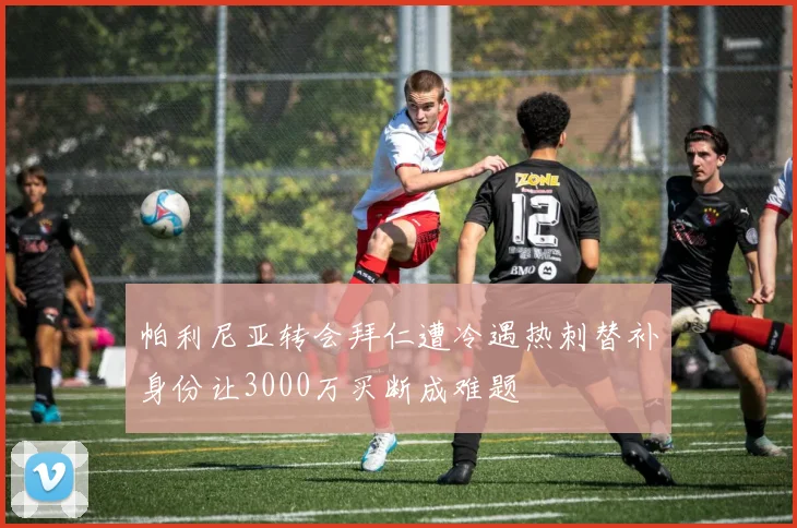 帕利尼亚转会拜仁遭冷遇热刺替补身份让3000万买断成难题