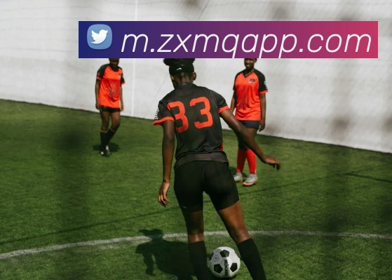 在线买球网站发展历程